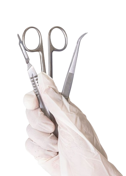 czNmcy1wcml2YXRlL3Jhd3BpeGVsX2ltYWdlcy93ZWJzaXRlX2NvbnRlbnQvbHIvczcwLXRlZGR5LTAxMjMxLWNoaW0tYS5wbmc-removebg-preview